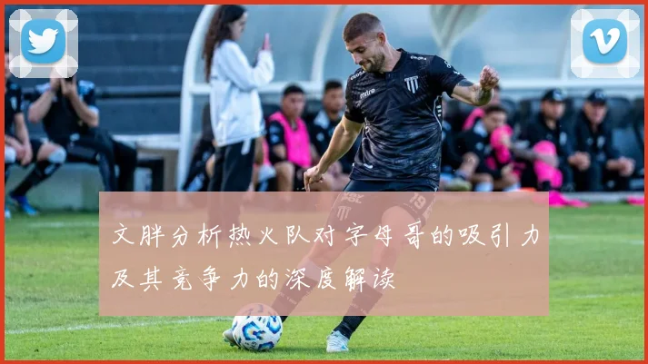 文胖分析热火队对字母哥的吸引力及其竞争力的深度解读